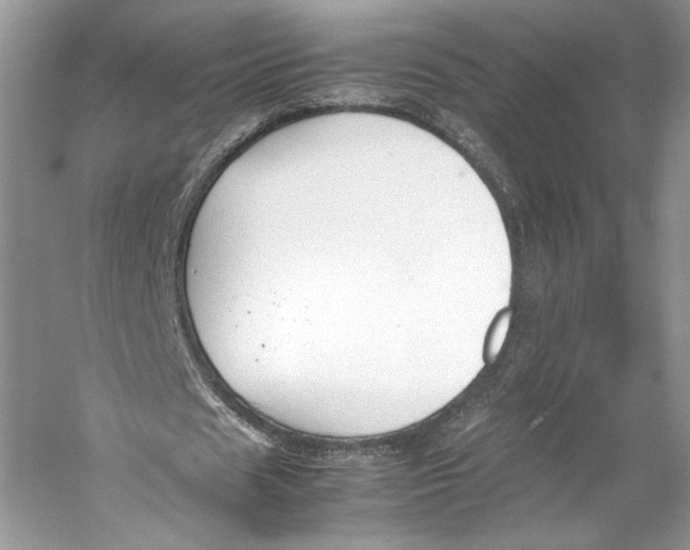 X0000053110625200508081226