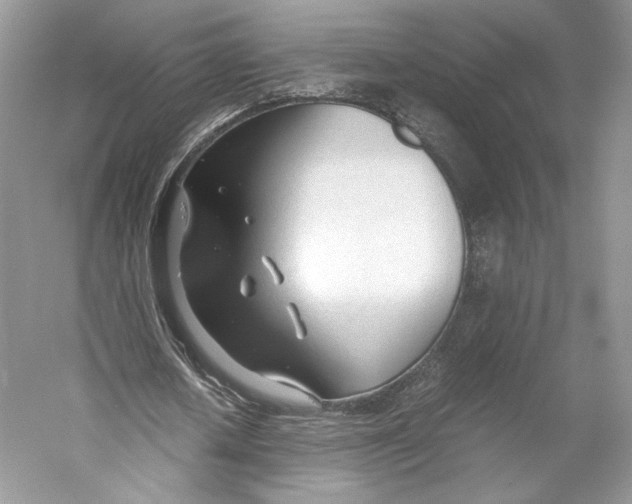 X0000053110626200508081226