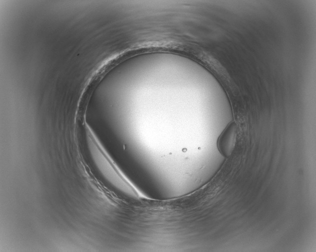 X0000053110628200508081226