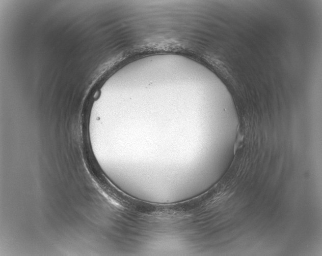 X0000053110630200508081226