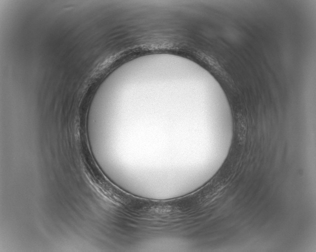 X0000053110631200508081226