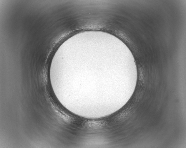 X0000053110632200508081226