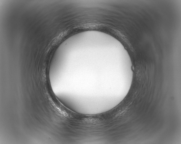 X0000053110633200508081226