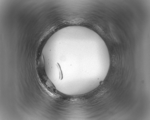 X0000053110634200508081226