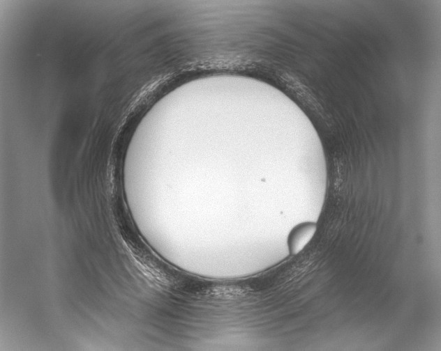 X0000053110636200508081226