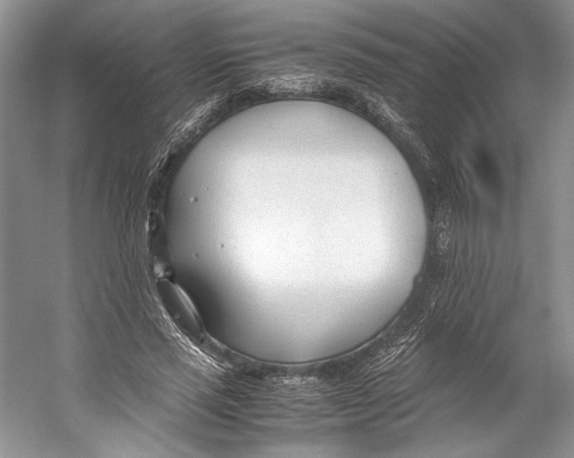 X0000053110637200508081226