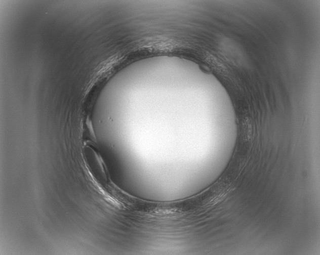 X0000053110638200508081226