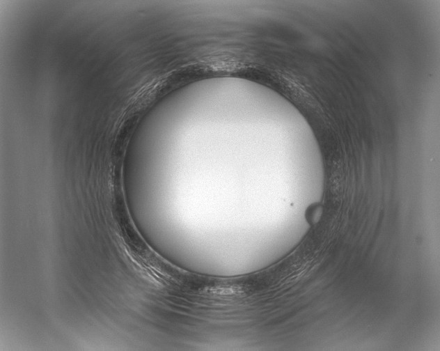 X0000053110639200508081226