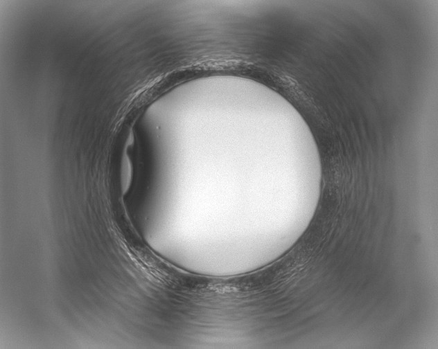 X0000053110640200508081226