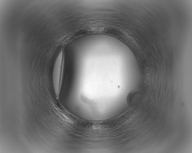 X0000053110641200508081226