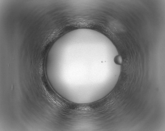 X0000053110642200508081226