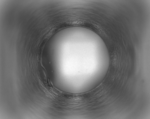 X0000053110643200508081226