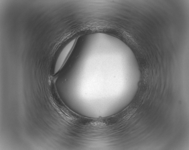 X0000053110644200508081226