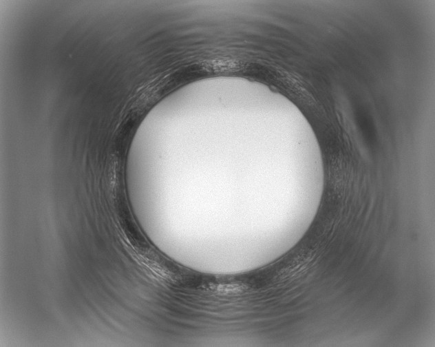 X0000053110645200508081226