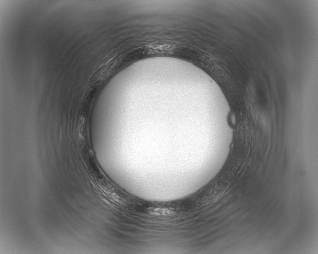 X0000053110649200508081226