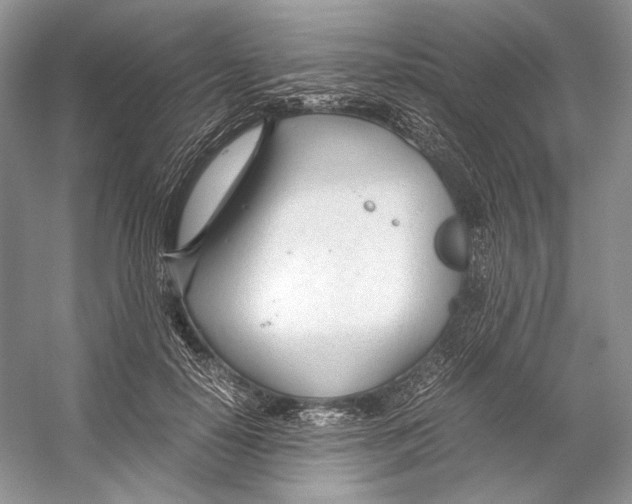 X0000053110650200508081226