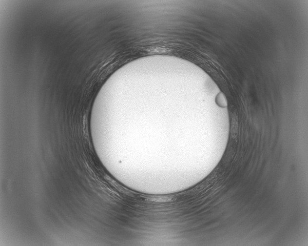 X0000053110652200508081226