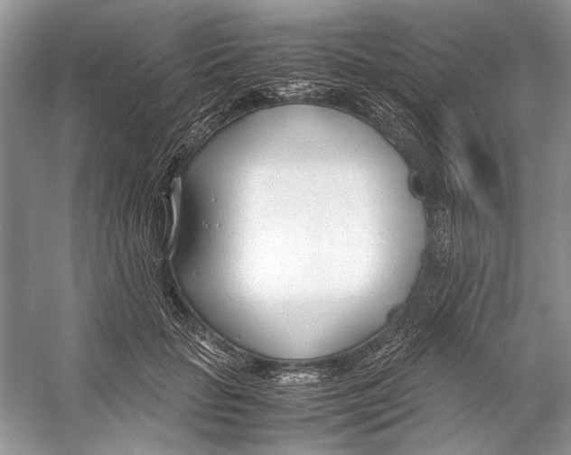 X0000053110653200508081226