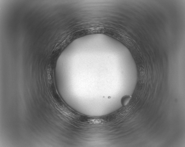 X0000053110654200508081226