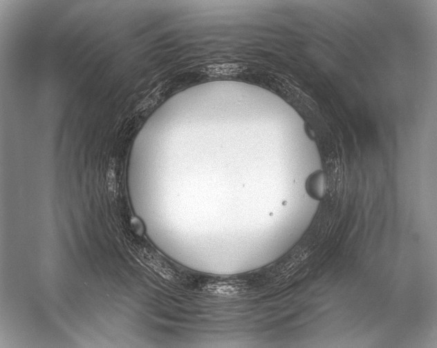 X0000053110655200508081226