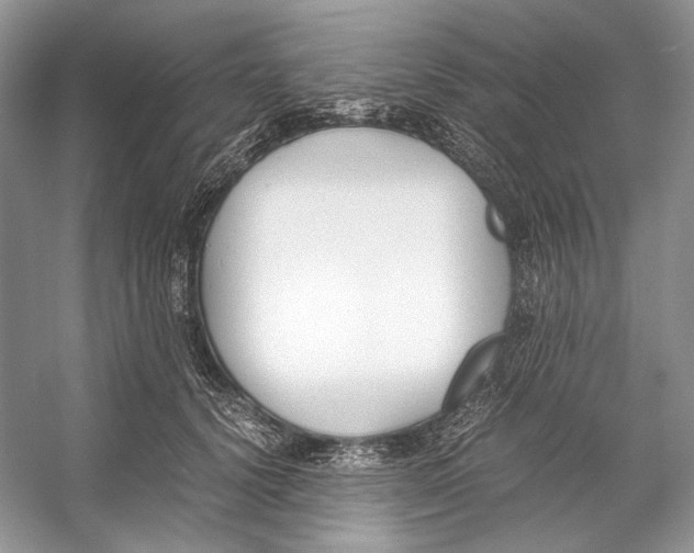 X0000053110656200508081227