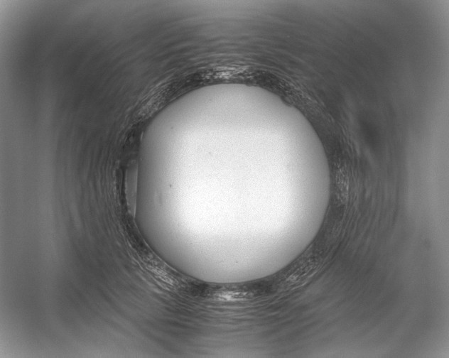 X0000053110657200508081227