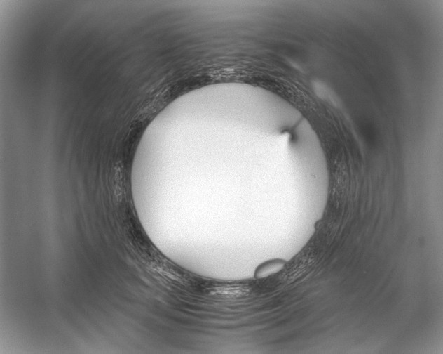 X0000053110659200508081227