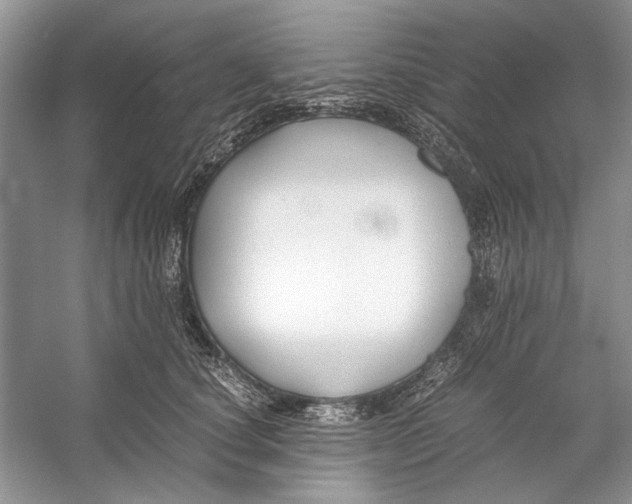 X0000053110660200508081227