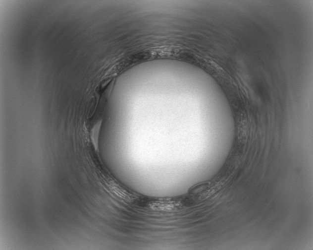 X0000053110661200508081227