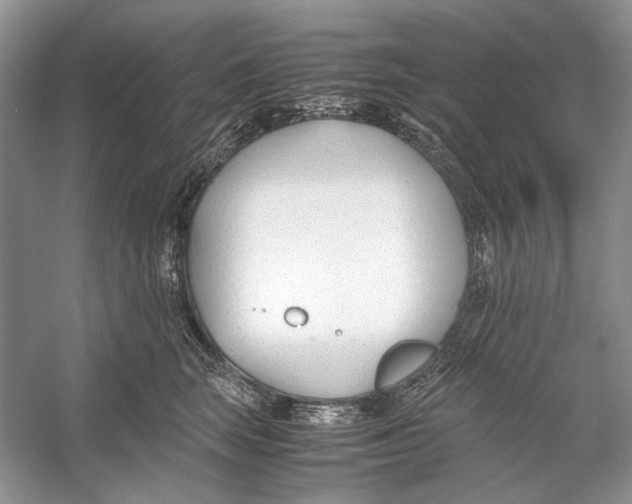 X0000053110663200508081227