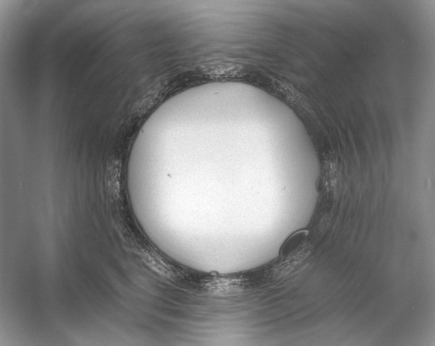 X0000053110664200508081227