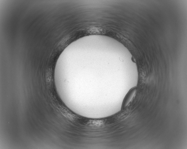 X0000053110665200508081227