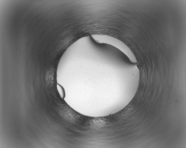 X0000053110668200508081227