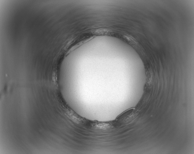 X0000053110669200508081227