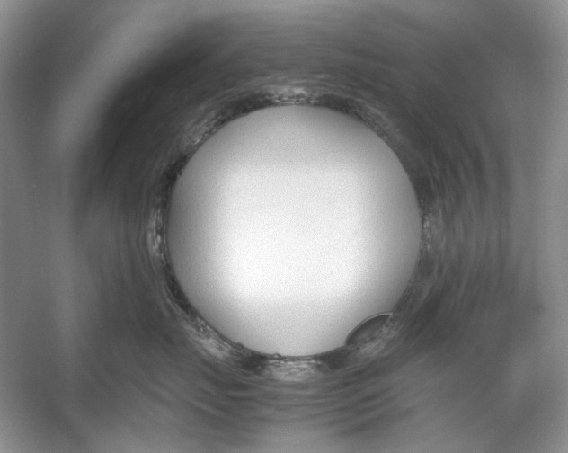 X0000053110671200508081227