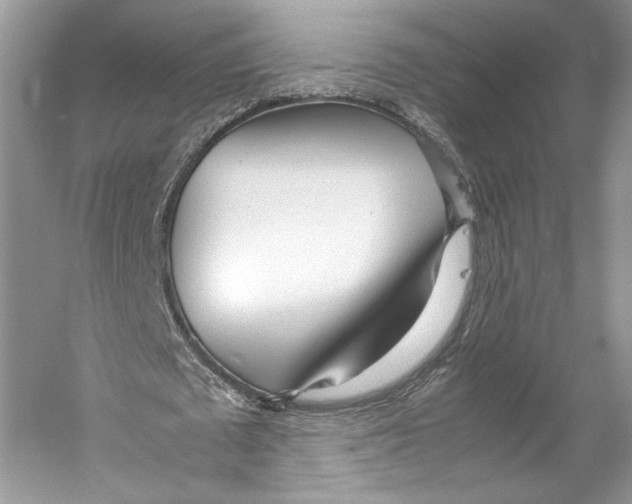 X0000053110673200508081226