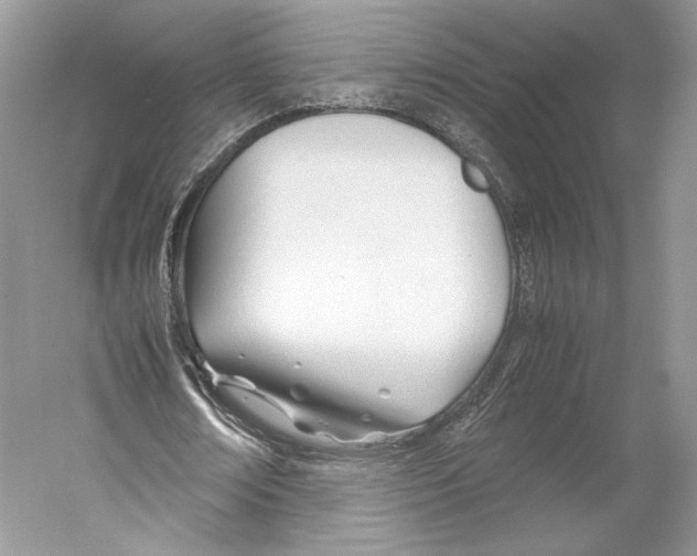 X0000053110674200508081226