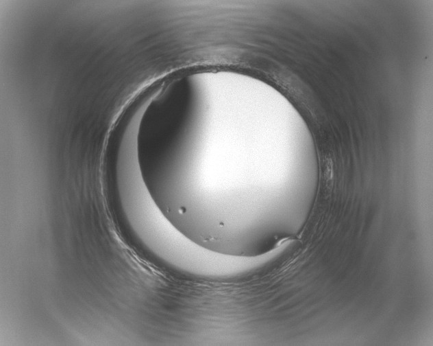 X0000053110676200508081226