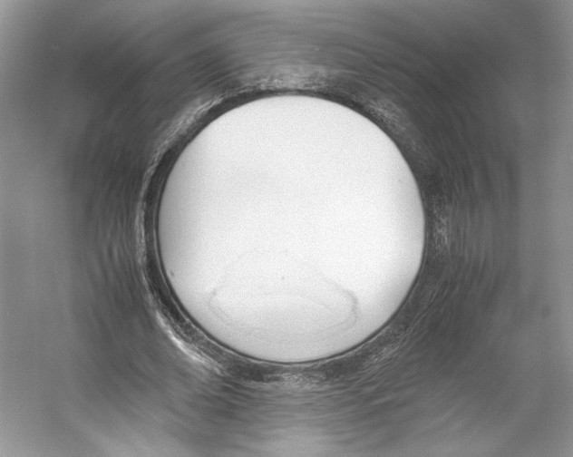 X0000053110678200508081226