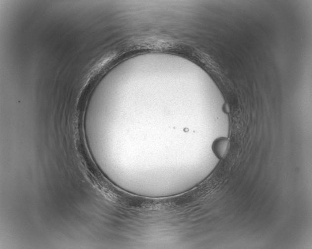 X0000053110679200508081226