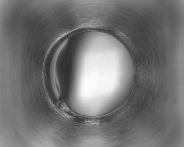 X0000053110680200508081226