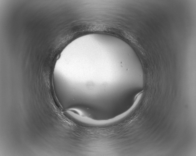 X0000053110681200508081226