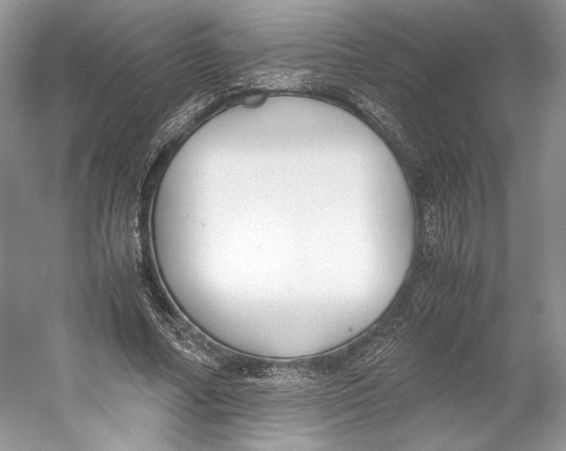 X0000053110682200508081226