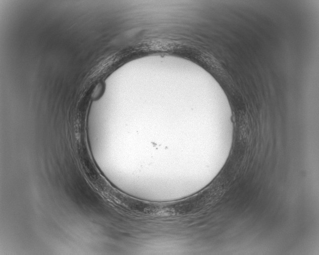 X0000053110683200508081226