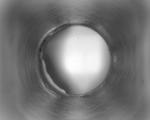 X0000053110684200508081226