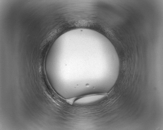 X0000053110687200508081226