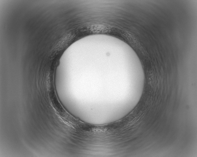 X0000053110690200508081226