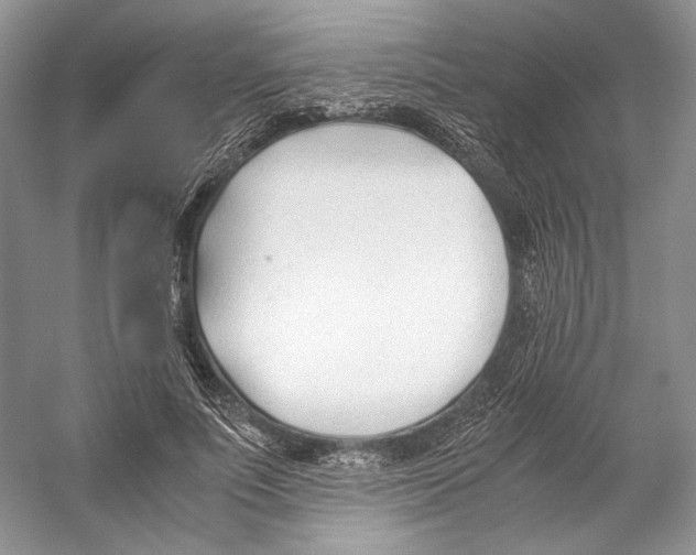 X0000053110691200508081226