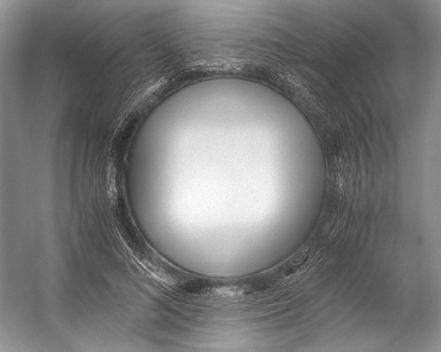 X0000053110692200508081226