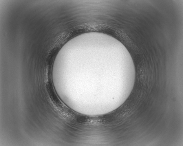 X0000053110694200508081226